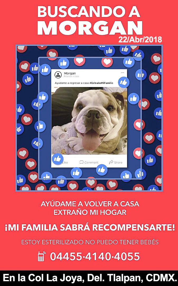 #ROBADO Morgan en la Col #LaJoya Del #Tlalpan #CDMX Abr 2018