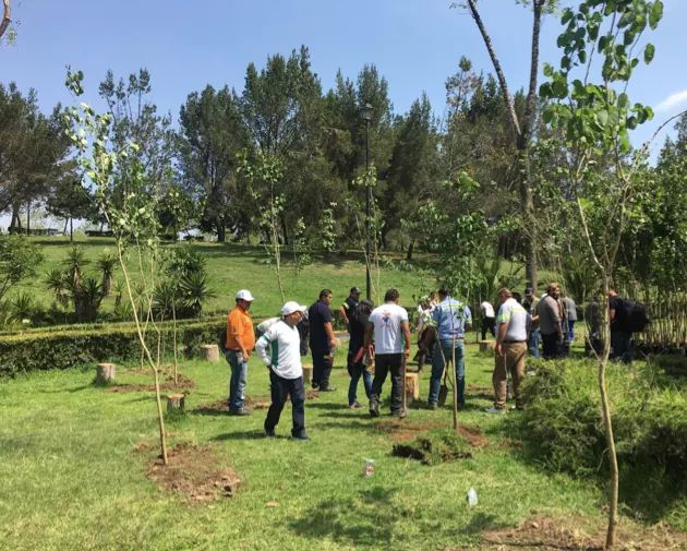 FunPascual's tweet photo. El día 17 de Mayo los trabajadores de la Cooperativa Pascual llevaron cabo la siembra de 350 árboles en el parque Tezozómoc, con el fin de ayudar a nuestro planeta y de esa forma contribuir para  tener una mejor calidad de vida para todos los seres humanos y seres vivos. 🌳🌿 https://t.co/CaHDf84IQ6