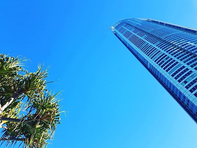 aeshine's tweet photo. GC icon
#shine #wearegoldcoast #thisisqueensland #seeaustralia #bedigital #bookeasy #resonline #q1 @q1resort @indigopearldesigns https://t.co/KVs8wYMG5A https://t.co/MQFf5uDsZI