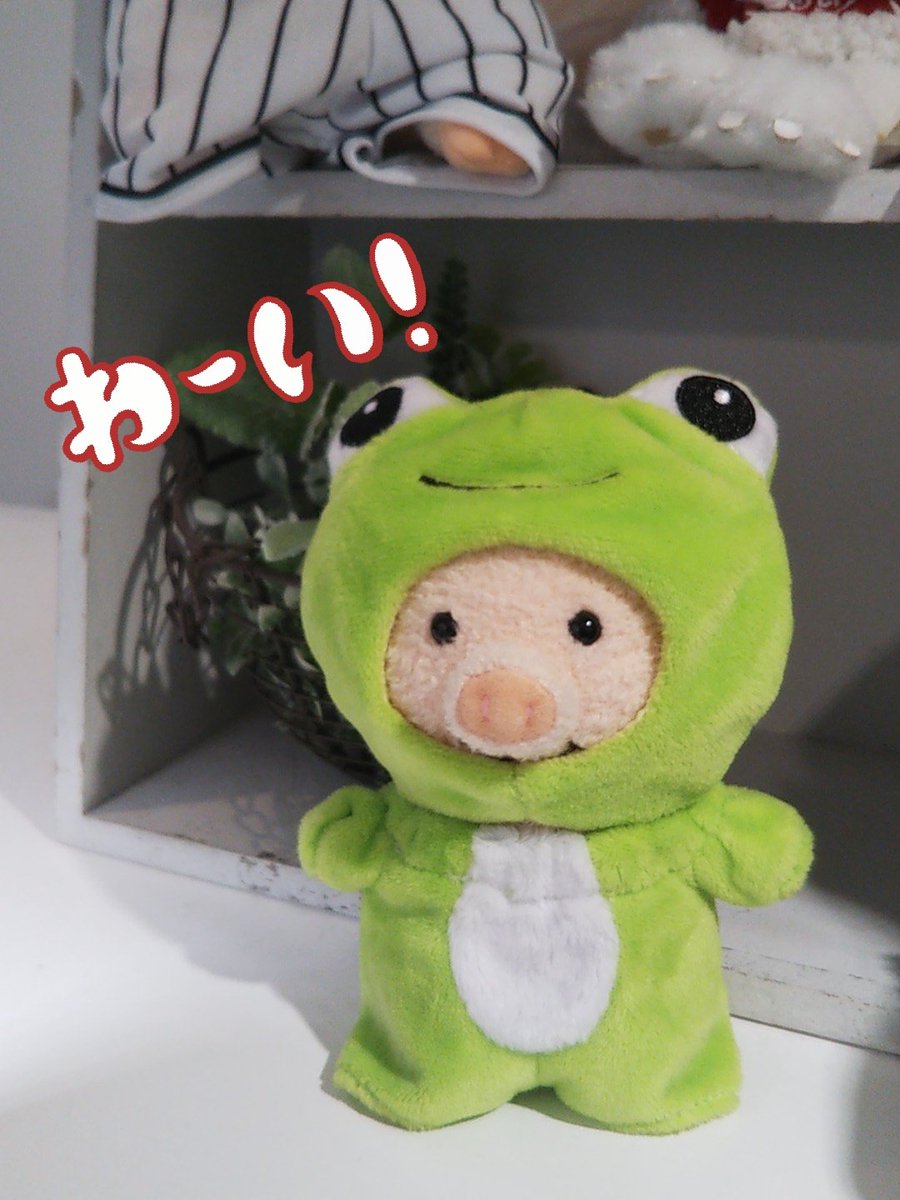 Nipopo池袋サンシャインシティアルタ店 ぬいぐるみの衣装をもっと知っていただきたいのですが なんのタグをつければいいのか悩んでる中の人なのです W マスコットやぬいぐるみさんを連れて来られる方もいらっしゃるので試着もできますとアピール