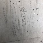 こんなに優しい世界がある!落ち込んだ人が行くべき場所は理科大かもしれない!