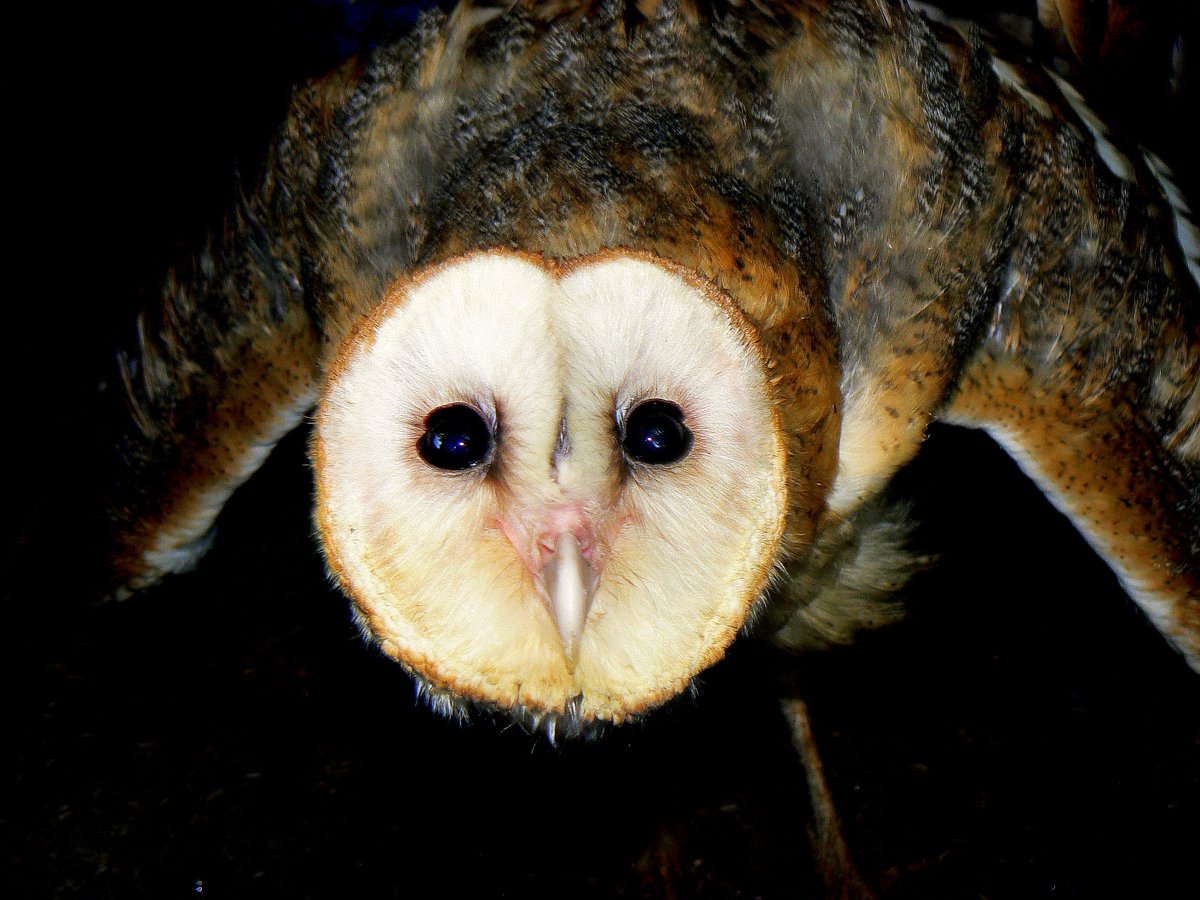 ConBiVe's tweet photo. El consumo insostenible sigue y la demanda de recursos en todo el mundo excede la capacidad biológica de la Tierra en un 20%.

#22May Día Interancional de la DIversidad Biológica.

 #IntlBiodiversityDay #Biodiversity25years https://t.co/wBTPbB7yrG