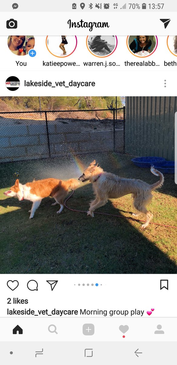 Suki7531's tweet photo. It's a dogs life hey 😂 https://t.co/XtlpWvECJF