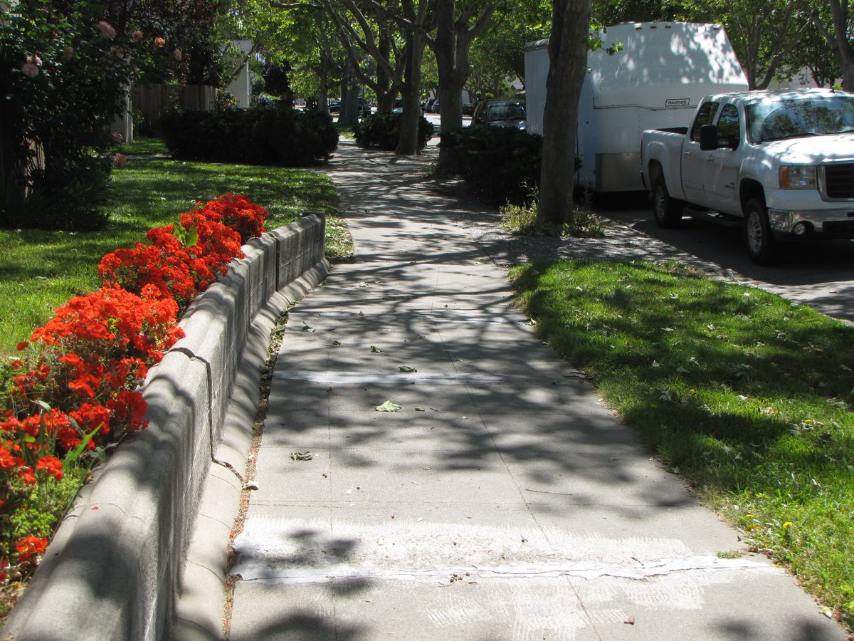 Ron Schott ⚒ tweet media