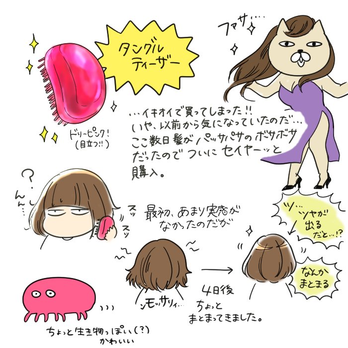 死にかけた髪をどうにかしたいと思ってタングルティーザーとやらを使ってみました。 最初、正直あまり実感がなかったのですがしばらく使い続けて「アッ 良き…」ってなってます。
