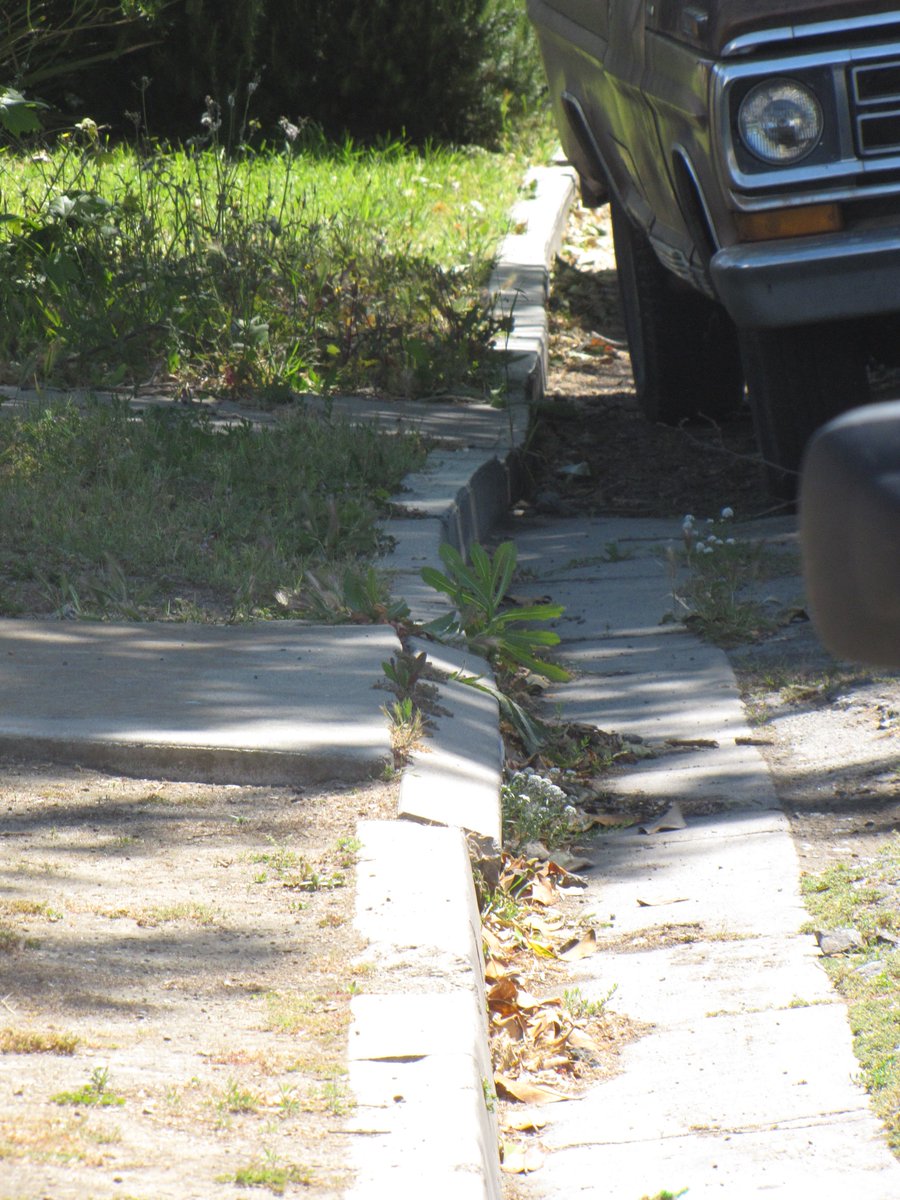 Ron Schott ⚒ tweet media