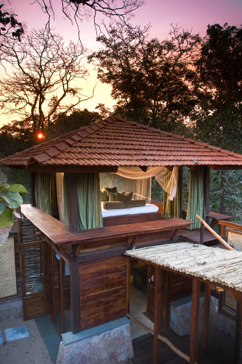 traveleastindia's tweet photo. Baghvan is a luxury safari lodge located on the edge of Pench National Park.
#incredibleindia #traveleast #taj #dexgroup #travel #traveling #vacation #visiting #trip #holiday #fun #travelling #tourism #tourist #northeastindia #tajbaghvanpench #india #Baghvan #LodgeTajSafariTaj https://t.co/zBGCHsDwJC