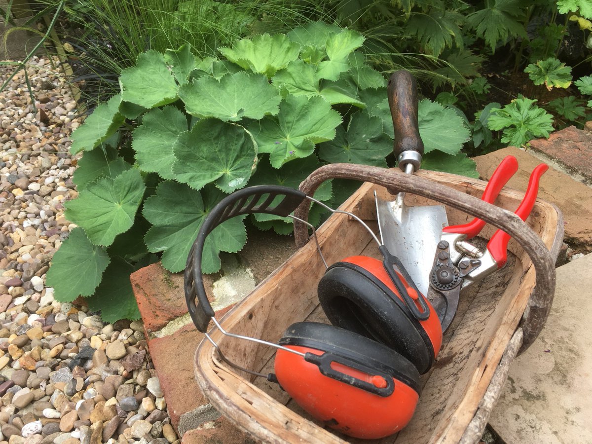 TythorneGD's tweet image. Is there something wrong with your garden? Something that is preventing you from enjoying it as much as you would like? 

Read our suggestions for dealing with our top 5 negative garden issues:

tythorne.com/blog/garden-de…