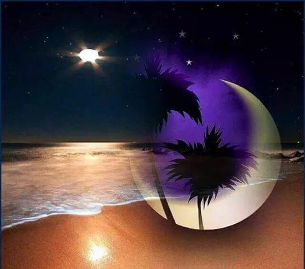 عاشق سهر الليل tweet media