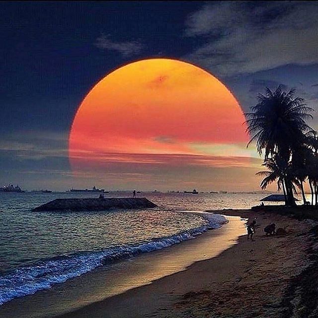 عاشق سهر الليل tweet media