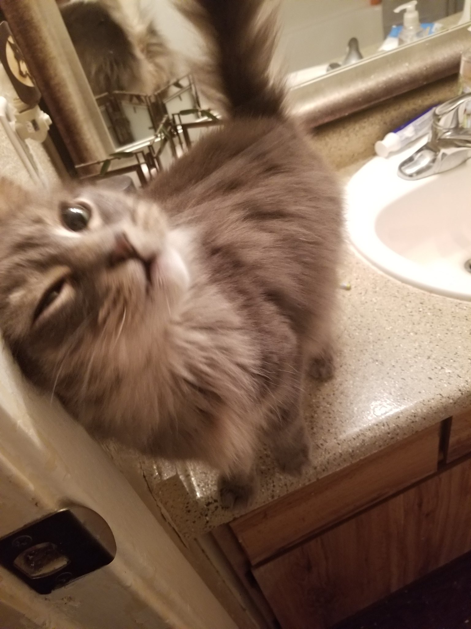 🍖🍆 Exotic Butter 🍆🍖 on Twitter "So it's come down to me having to give