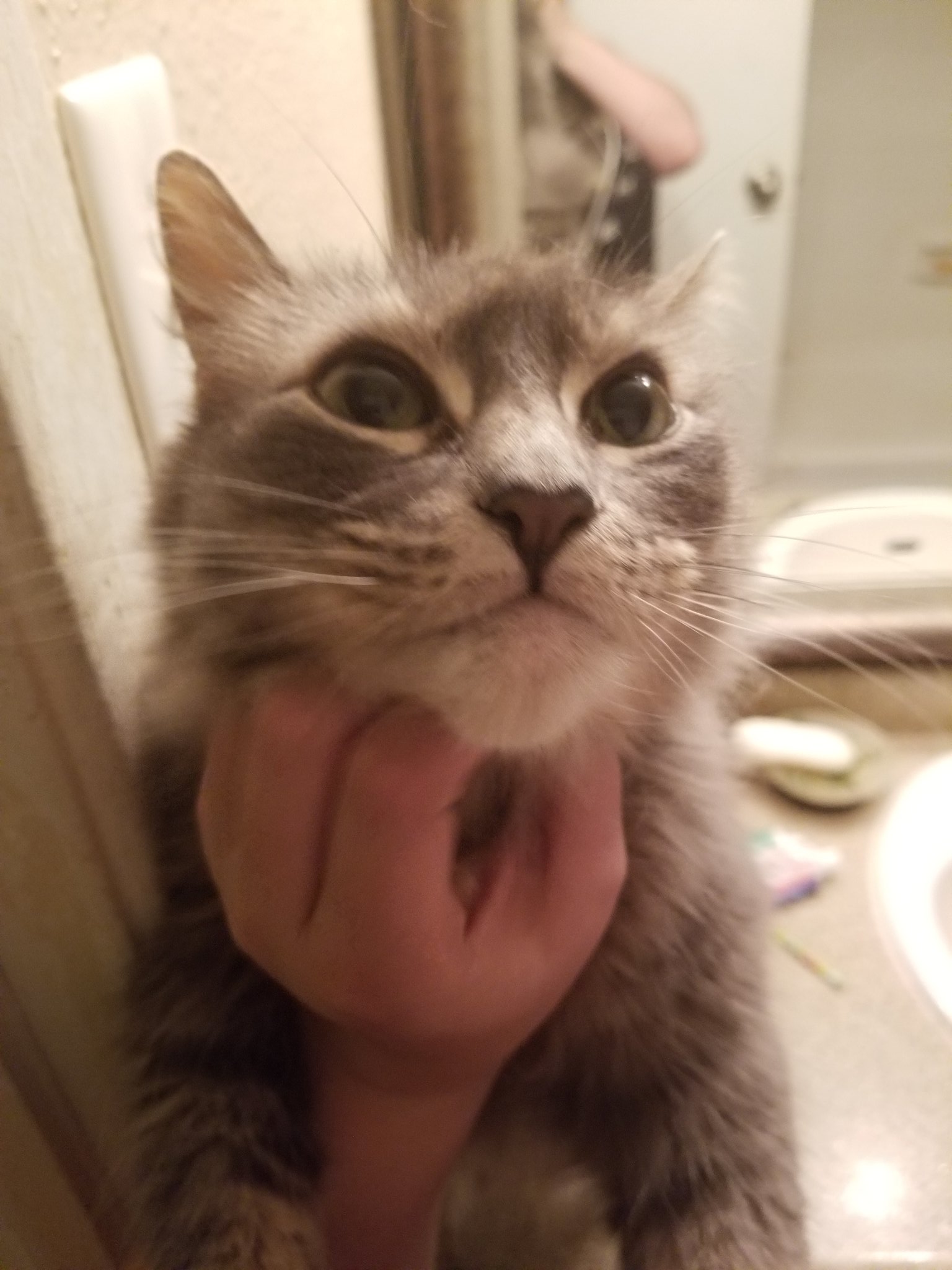 🍖🍆 Exotic Butter 🍆🍖 on Twitter "So it's come down to me having to give