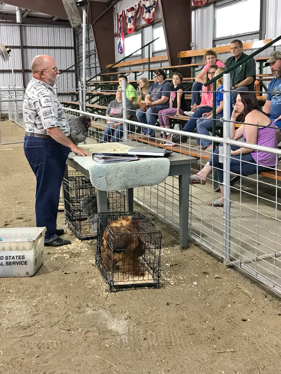 CumingCounty4H's tweet photo. Poultry Clinic this evening @ the fairgrounds! Youth learned about showmanship, biosecurity, health, & safety! They had some great questions! Thank you to our presenter for a educational evening! #poultry #showmanship #cochins #countyfairprep #NE4H ๐๐ https://t.co/EMbGSyllcQ