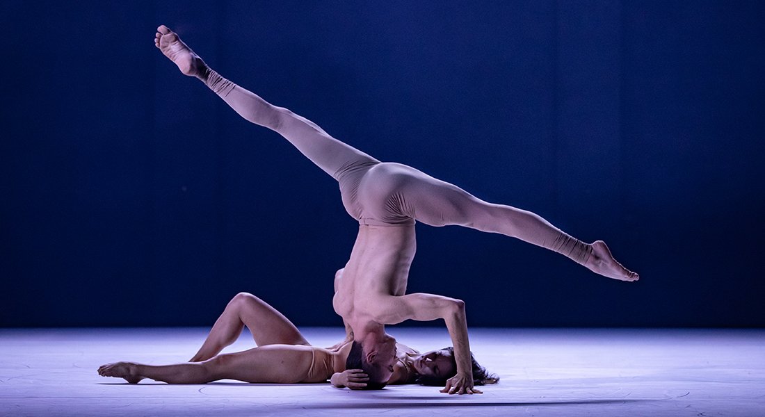 "★★★★ Has to be seen to be believed.” Don’t miss <a href="/SydneyDanceCo/">Sydney Dance Company</a>’s ‘ab [intra]’, an electrifying journey into the extremes of human nature – must close this Saturday 26 May. Book now: bit.ly/2IiX40l #SDCIntra