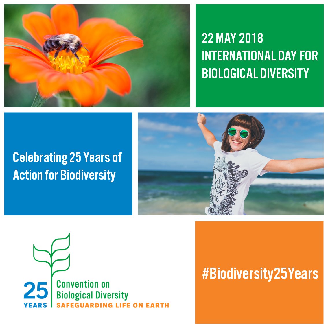 UNEP's tweet image. Happy #IntlBiodiversityDay! Today we celebrate nature&apos;s beauty &amp;amp; wonder, and all the people working hard to safeguard it. Much progress has been made, but there’s still much to do. Let’s redouble efforts to preserve Earth, our only home #Biodiversity25Years @UNBiodiversity