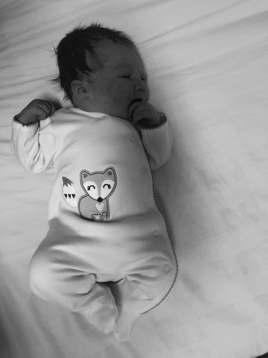 Kinsley Wynn Plaetinck