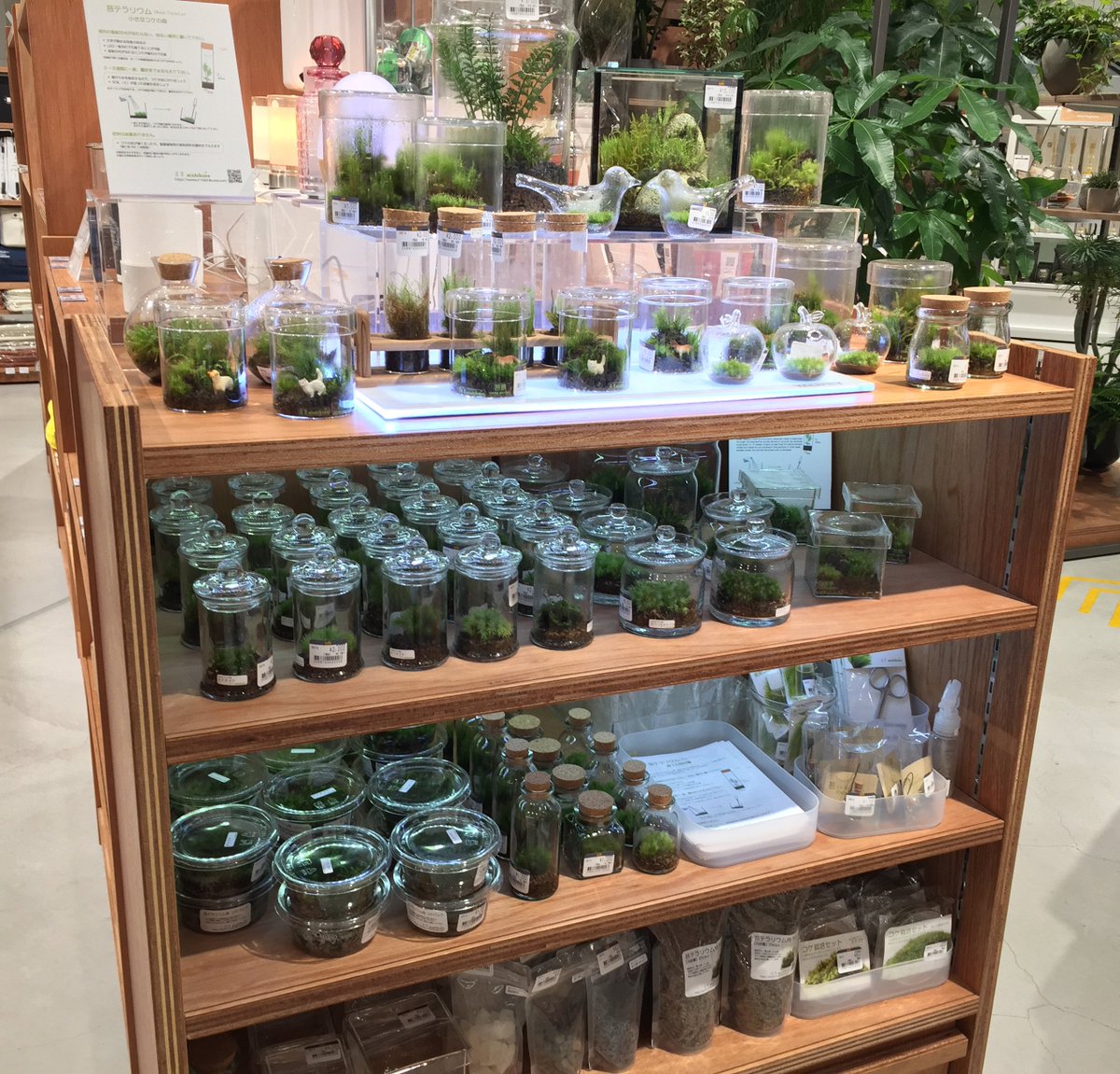 道草 Michikusa 苔テラリウム五輪開催中 入荷情報 銀座ロフト 4f 様 Loft Ginza 苔テラリウム 作品いろいろ入荷しています 今回は大き目の作品や フィギュア入りの作品も 自分で作製したい人向けの素材コケも色々入っております 植物好きな 道草 Michikusa 苔テラリウム五輪開催中 入荷情報 銀座ロフト 4f 様 Loft Ginza 苔テラリウム 作品いろいろ入荷しています 今回は大き目の作品や フィギュア入りの作品も 自分で作製したい人向けの素材コケも色々入っております 植物好きな