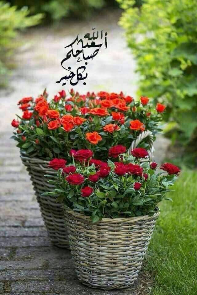 Moiin Eshtei1 Pa Twitter نسيم عليل يرسم الشوق صباح الخير