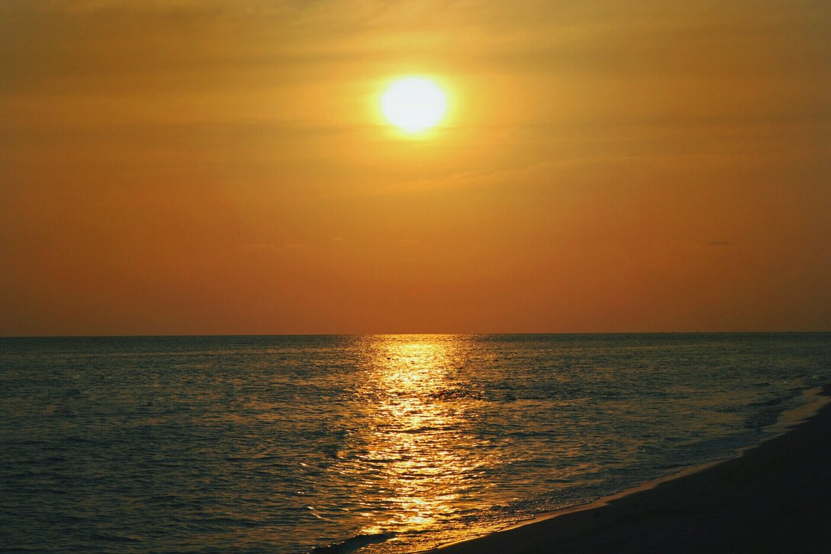 jeealca's tweet image. 💜