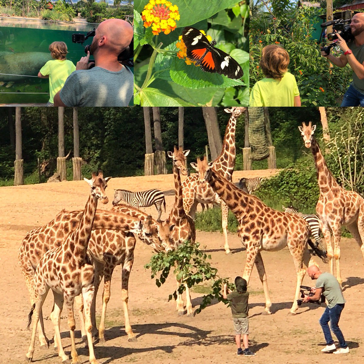 Opnames tv spot Groot Gelders Avontuur <a href="/burgerszoo/">Burgers' Zoo</a> #gelderlandlevertjemooiestreken #geldersestreken #ZappTV <a href="/arnhem_nijmegen/">VisitArnhem VisitNijmegen</a> @RBTKAN