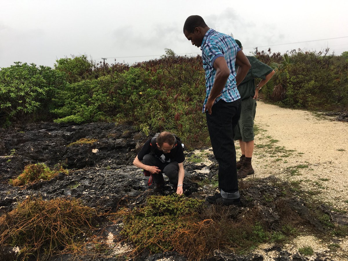 UKLadybirds's tweet photo. @AdriaensTim @sacrevert ...thank you so much for all your amazing contributions - exciting time ahead making predictions about invasive non-native species that are not yet here but could be problematic on these beautiful islands if they arrived @CEHScienceNews https://t.co/LhQUVhgoGk
