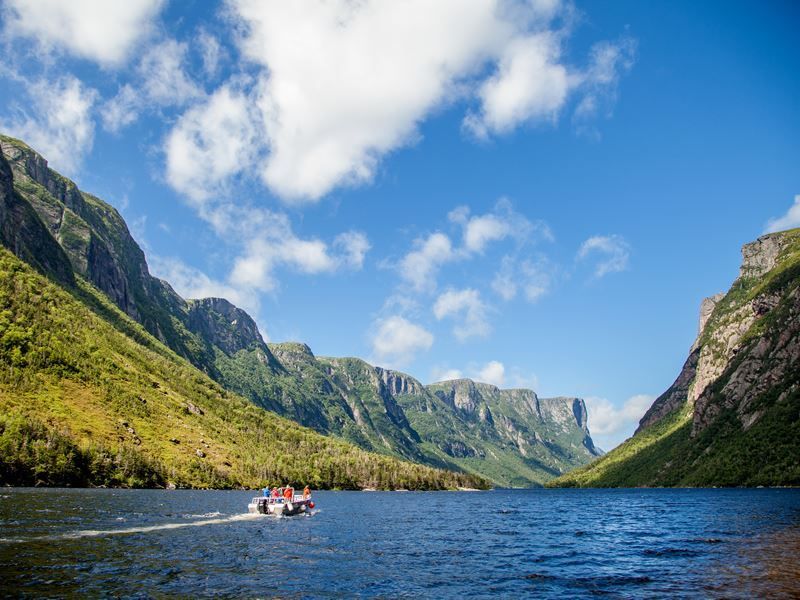 CanadianSkyUK's tweet photo. Only 5 hours flight from London, Newfoundland &amp; Labrador is the perfect place to enjoy a does of the outdoors, wildlife and friendly locals. Discover our guide of where to explore &amp; how to get there... https://t.co/7ziBELbXdc https://t.co/MCCwYmnRzZ