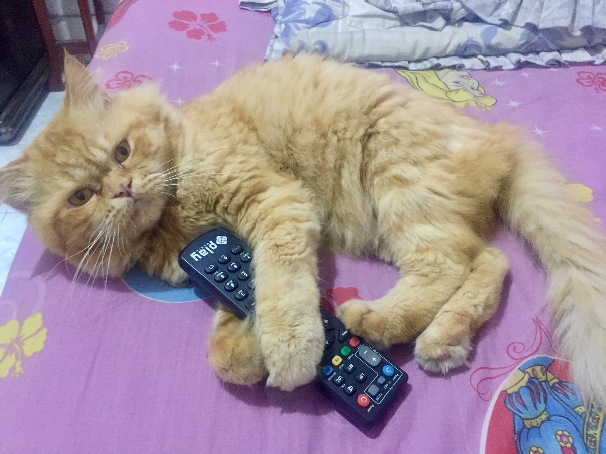 Met buka puasa dr my ciboy