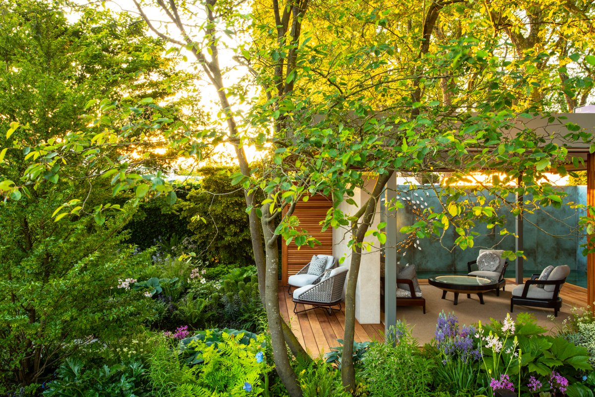 roomoflight's tweet photo. It was a dream job to be chosen to photograph the @MorganStanley Garden for the @NSPCC at #RHSChelsea and to work with @chrisbeardshaw @francestoase &amp; @JSPR1 So so proud to be involved and congratulations to all for the Gold and the incredible Best Show Garden accolade https://t.co/rY9cf8jjBs