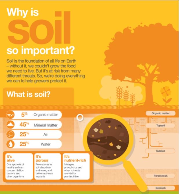 Learn why #soil matters &amp; how responsible #ag practices can help protect it: syngenta.com/what-we-do/the… #GoodGrowthPlan