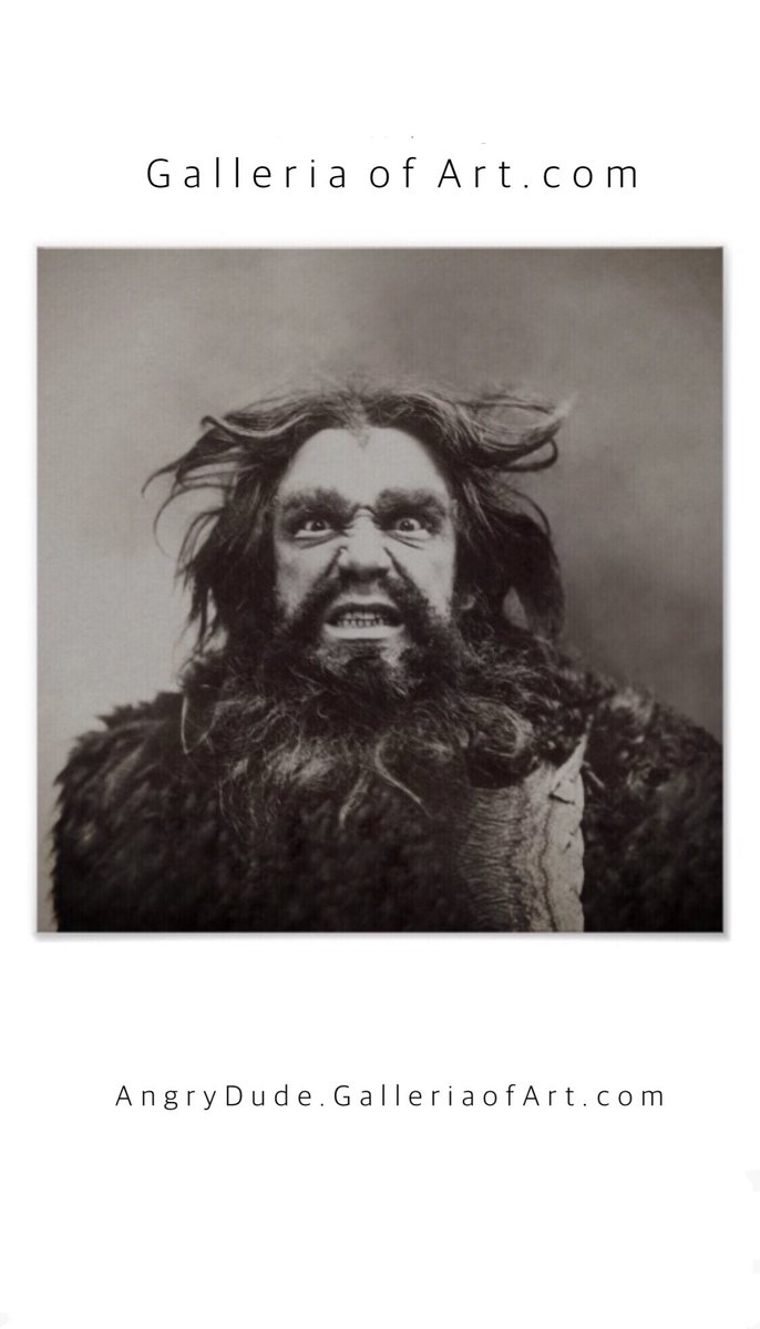 Galleria of Art.com tweet media