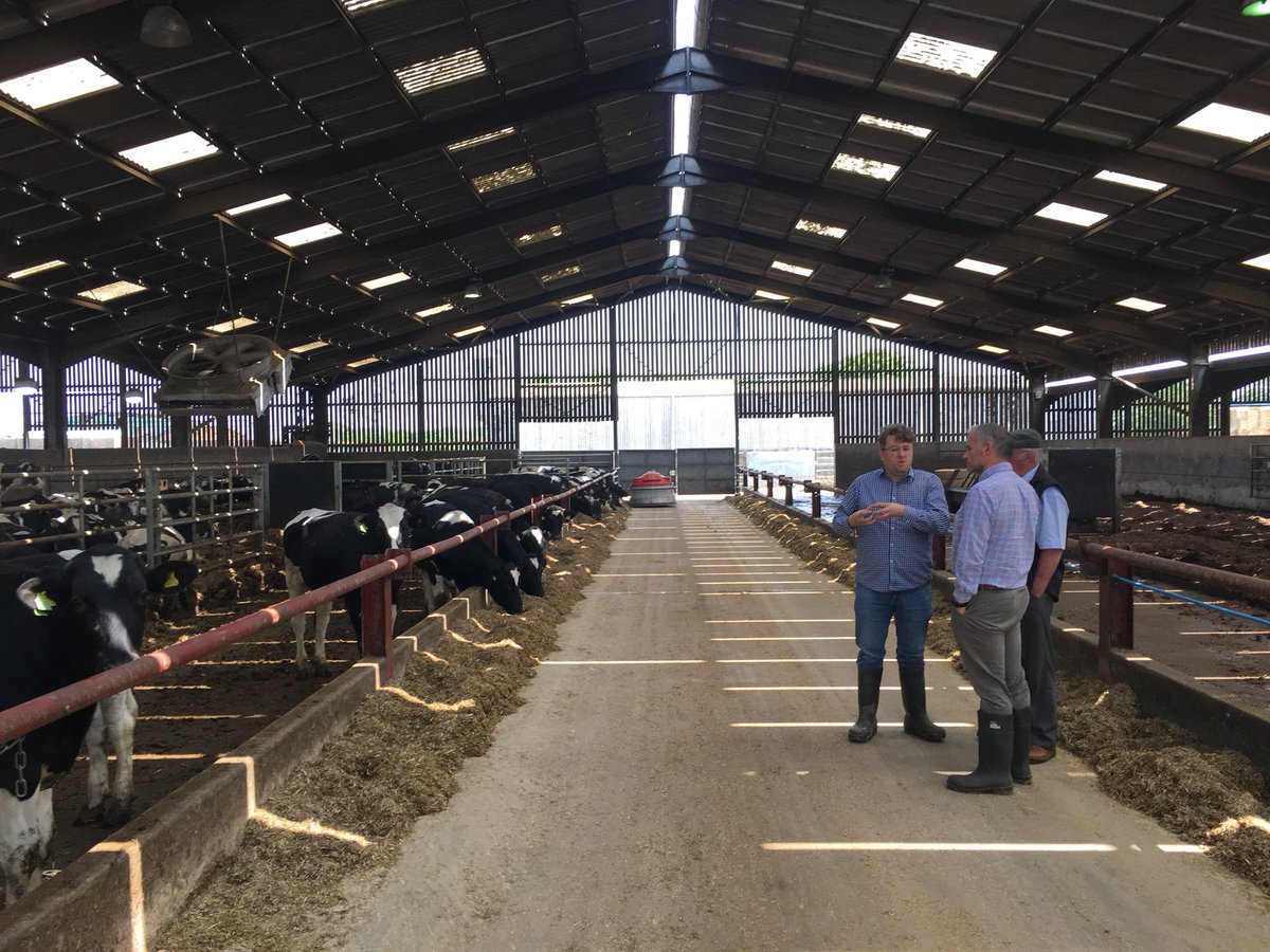 robdvet's tweet image. New technology day for beef production: @dairytom and @MeirionT explain to @SamGayton what we are looking to achieve in #StraightLineBeef with @VESEnviro systems in finishing shed #precisionbeef #smartfeeding @beef_farmers