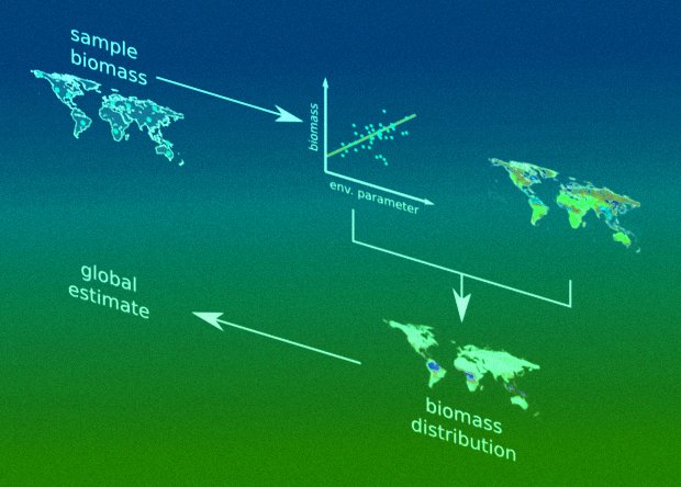 download Modern Biopolymer Science: Bridging the Divide between