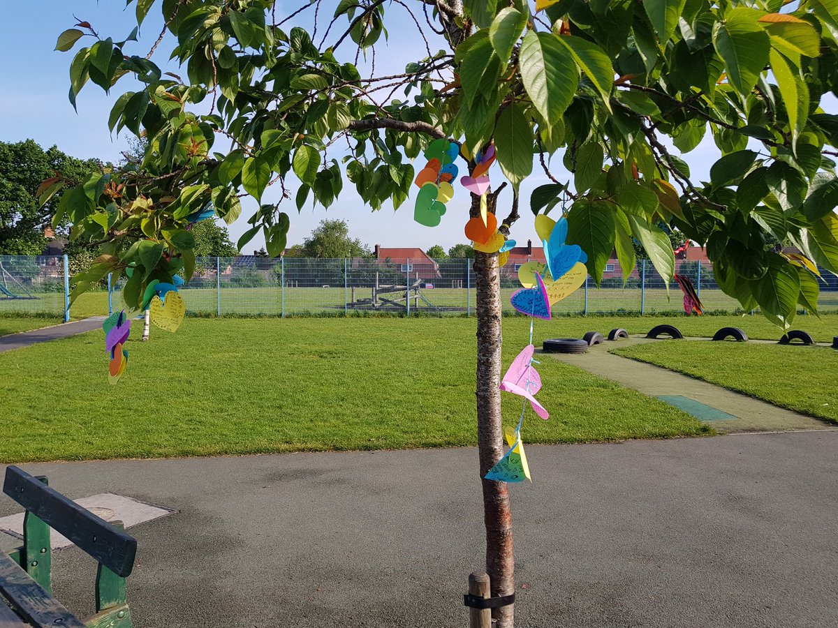 Haveley Hey Community School tweet media