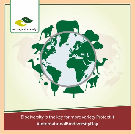 ecologicalsoc's tweet photo. Happy #BioDiversityDay!
Today let us remember  the importance of conserving &amp; multiplying the world's  #biodiversity. The responsibility to revert this trend lies with all of us! https://t.co/eT1IpgTknr