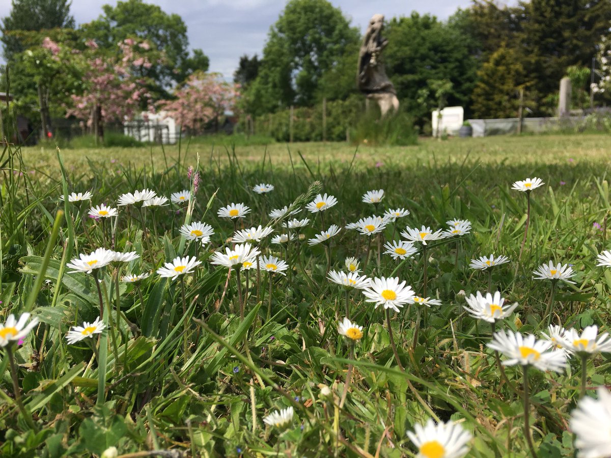 WildlifeGadgets's tweet photo. Enjoyed getting back to @Froizesuffolk yesterday. The gardens are springing into life and looking wonderful. #FroizeUncovered https://t.co/mgpOakVFwv