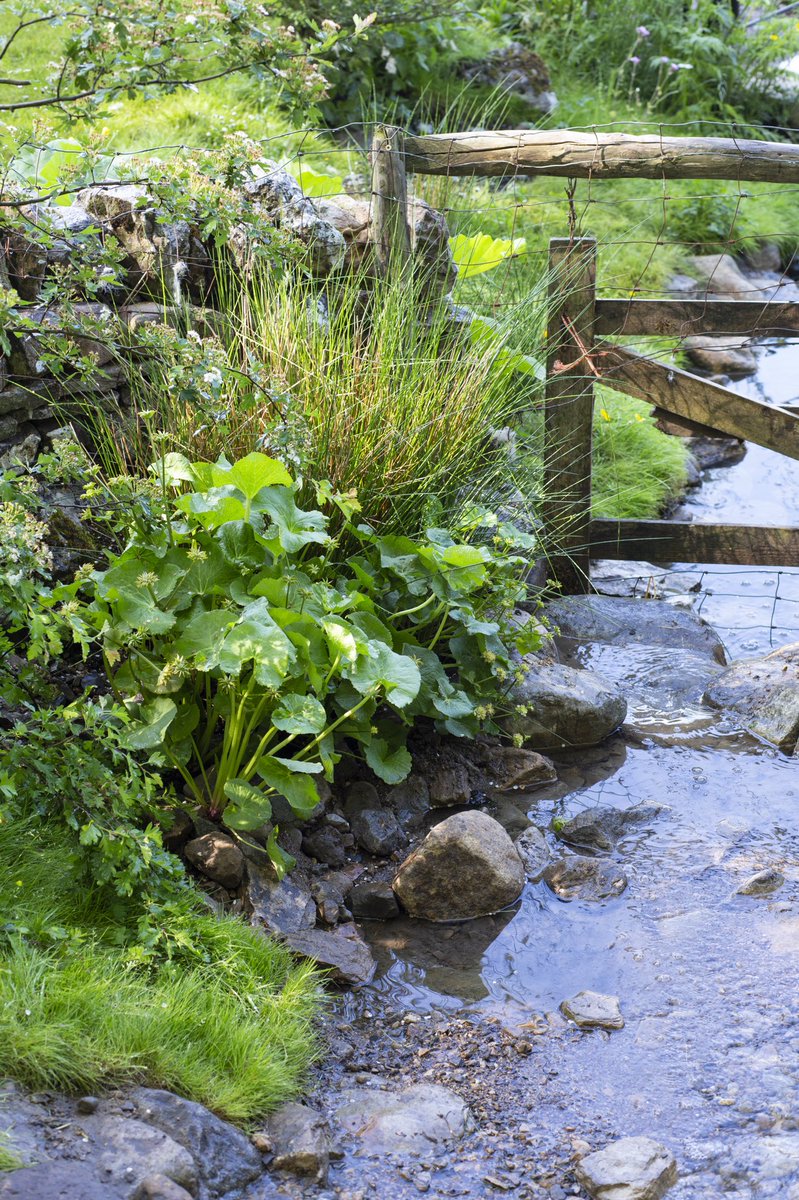 Welcome to Yorkshire tweet media