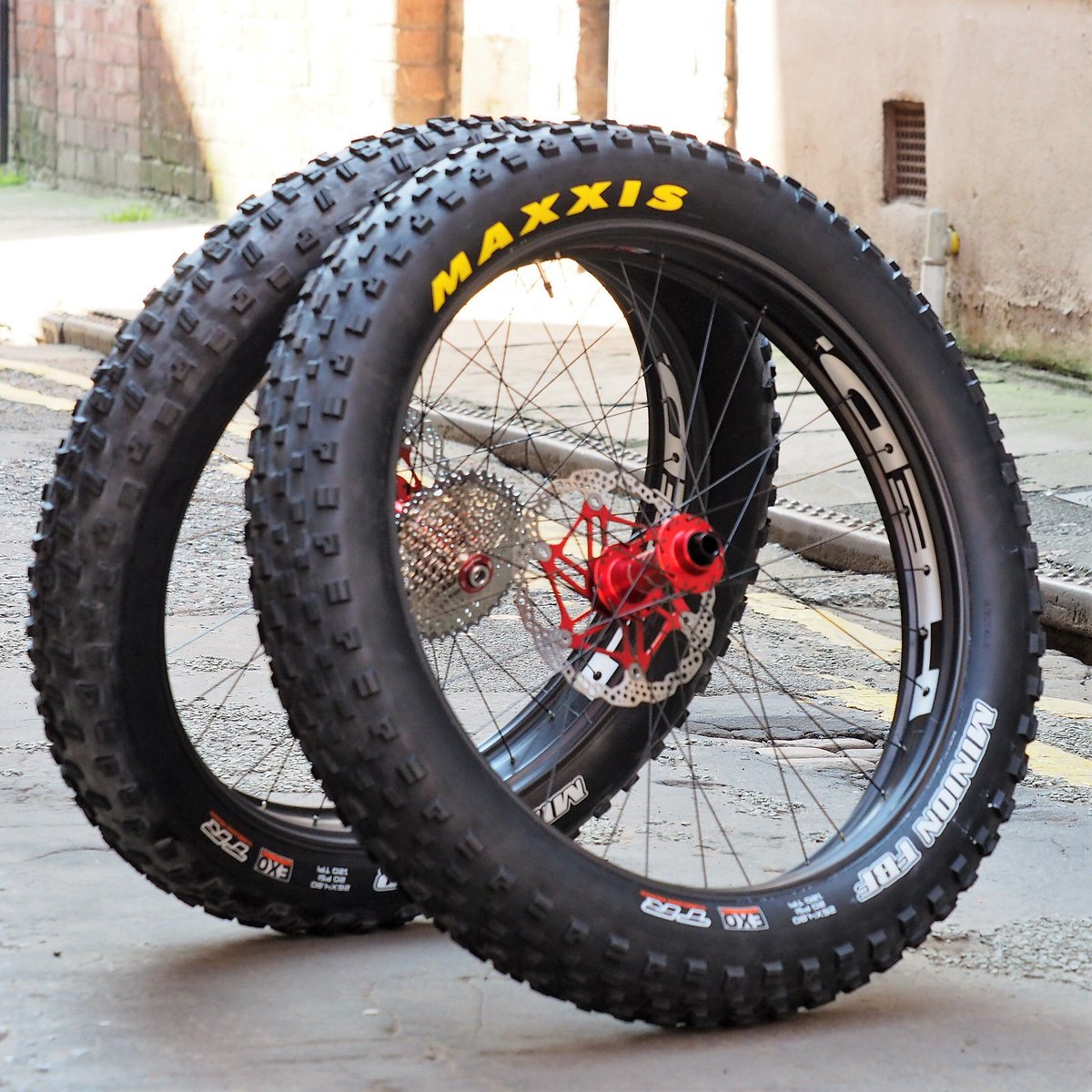maxxis minion 4.8