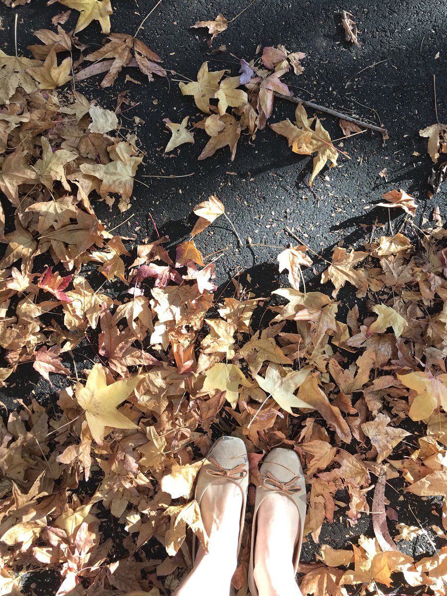 Eatwiser's tweet photo. TRACKIE TUESDAY: A walk through the backstreets of St. Ives earlier this morning. Ahhh, Autumn. You’re awesome! #opportunities #greatoutdoors #nature #stepintolife #mindfulness #intuitivemovement https://t.co/YnDGSvWcl0