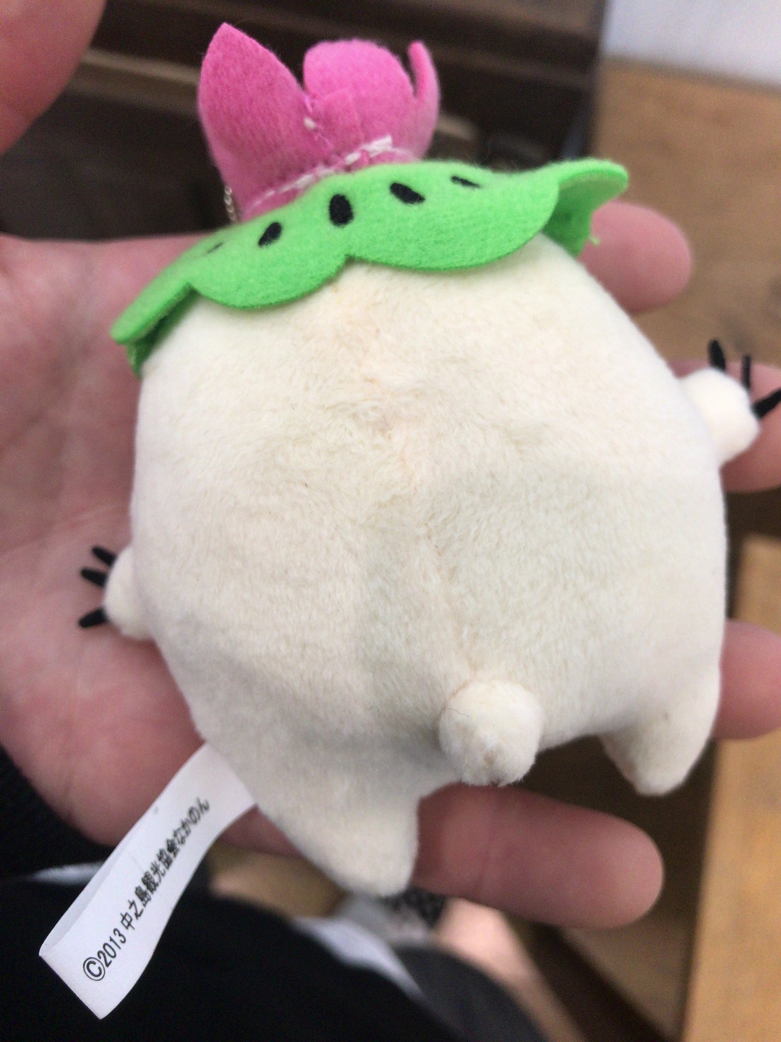 Nakajin 新潟県長岡市中之島地域マスコットキャラクター なかのん 自分と1文字違い レンコンの妖精だそうです W T Co Udw7kcwybv Twitter