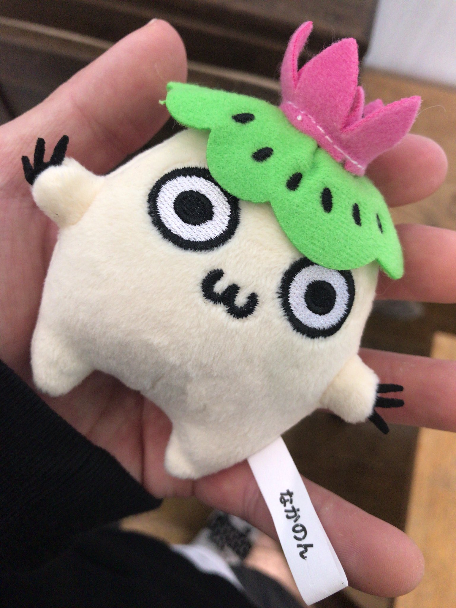 Nakajin 新潟県長岡市中之島地域マスコットキャラクター なかのん 自分と1文字違い レンコンの妖精だそうです W T Co Udw7kcwybv Twitter