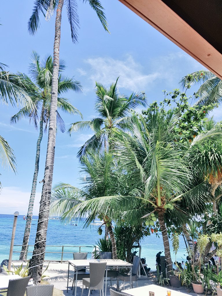 deejayolivar's tweet photo. #BOHOLakadyan #beholdBOHOL #BOHOLsaPINAS 🌴🌴🌴 https://t.co/ZhmIyHc3PK