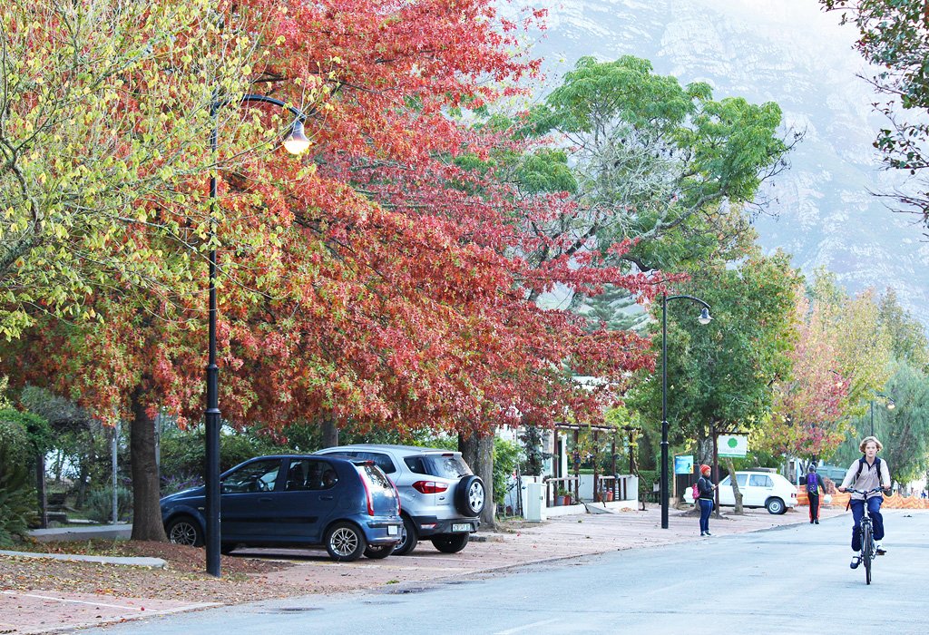 27 things to do in and around #Greyton: bit.ly/2kd6ps4 via <a href="/GetawayMagazine/">Getaway Magazine</a> <a href="/Rachel_CapeTown/">Rachel Robinson</a> <a href="/LoveGreyton/">Greyton Tourism</a> <a href="/OldPottersInn/">Old Potter's Inn</a> <a href="/olivmitchell/">Olivia Mitchell</a> <a href="/lismorewine/">Samantha O'Keefe</a> <a href="/iMTB_Africa/">Warrick Kemp</a> <a href="/GreytonConsScty/">Greyton Conservation</a> <a href="/vongeusauchocs/">Richard von Geusau</a> <a href="/classics4all/">ClassicsForAllFest</a> @GoToSouthAfrica <a href="/WTM_Africa/">WTM Africa</a> <a href="/We_Are_Africa/">We Are Africa</a> #TravelTuesday