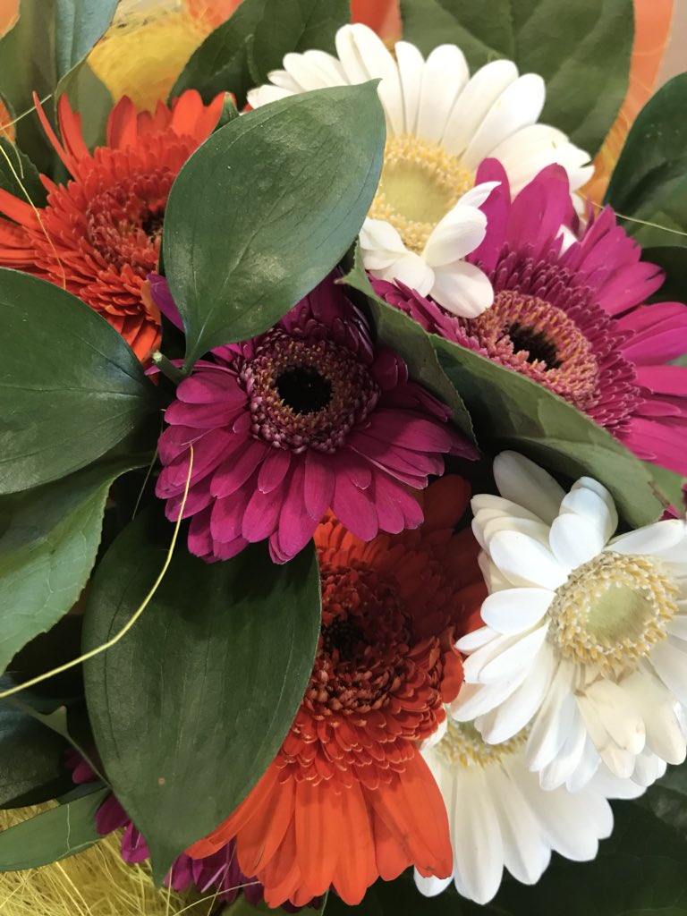 Thank you to <a href="/ArrivaTW/">ArrivaTW</a> for my beautiful flowers that arrived this morning - a fantastic example of great customer service