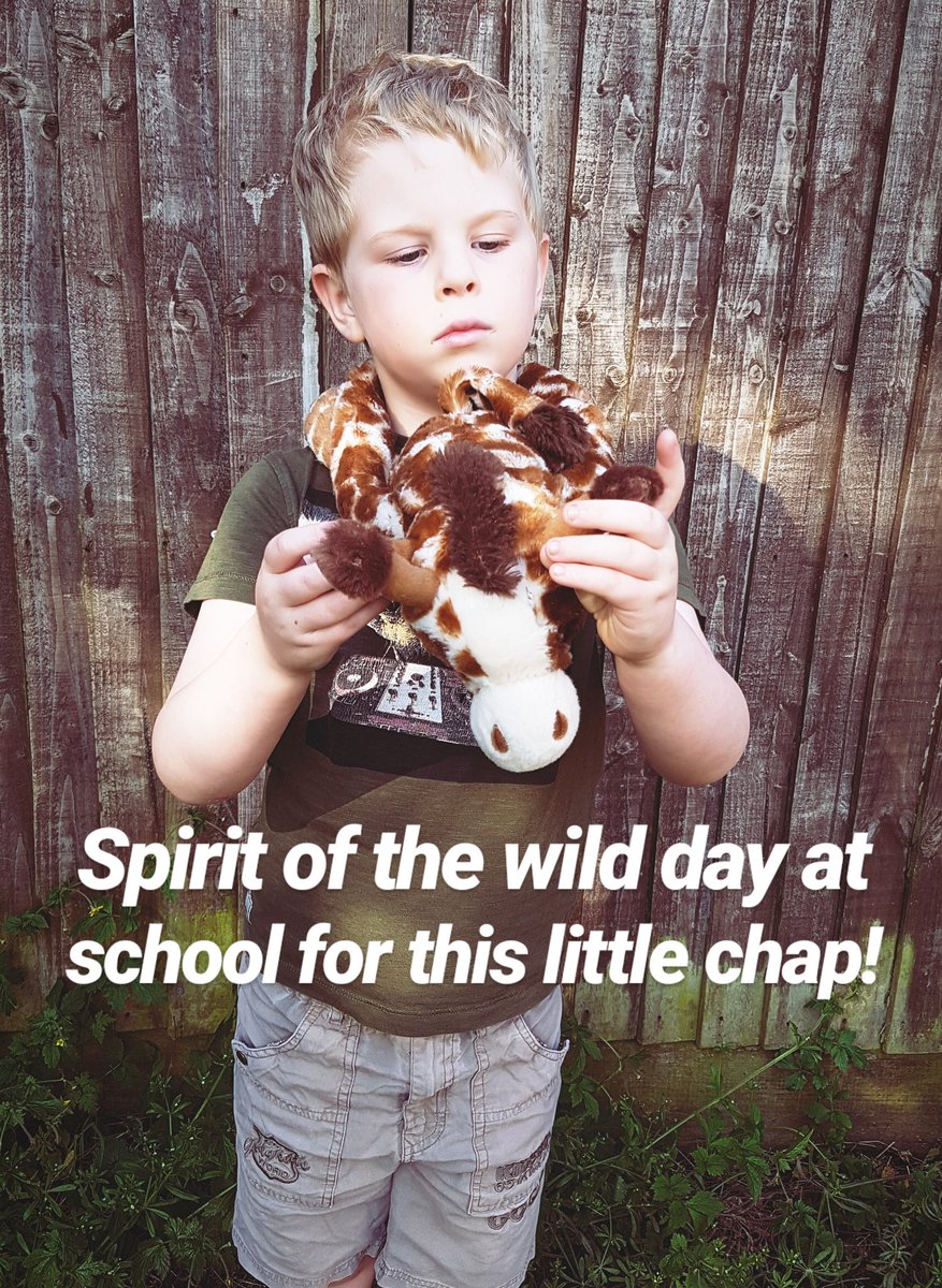 Costumes Days! You mention costumes and Sonnys all 'YES! I'm going to be Count Duku!!'... Or whoever that is from Star Wars. We compromised with a very fetching dj'ing dinosaur top and his huggy giraffe to secure the theme. He's happy!
#schooldays
#zookeeper
#autismfriendly 
☀