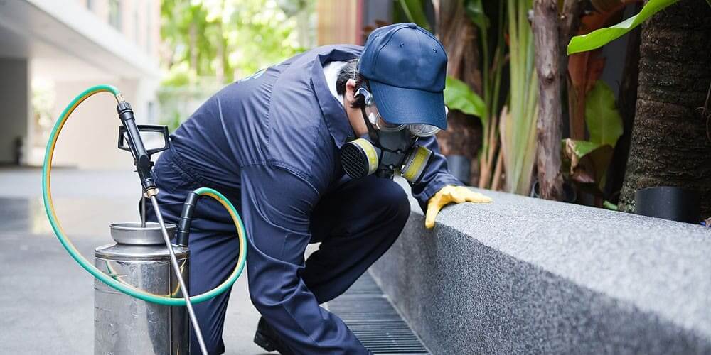 Kartepe böcek ilaçlama 
Böcek İlaçlama - Böcek ilaçlama Firması İstanbul
garantiilaclama.com/wp-content/upl… - garantiilaclama.com/kartepe-bocek-…
#kartepeilaçlama #kartepeböcekilaçlama #kartepehaşereilaçlama