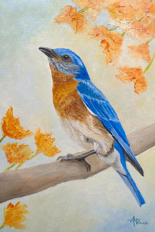 This is my painting "Eastern Bluebird Among Flowers", based on a photo by Cindy Treger, who kindly granted me permission to use it as a reference. You can check it out here: fineartamerica.com/featured/easte… #art #oilpainting #contemporaryart #ArtistOnTwitter #birds #birdife #Bluebird