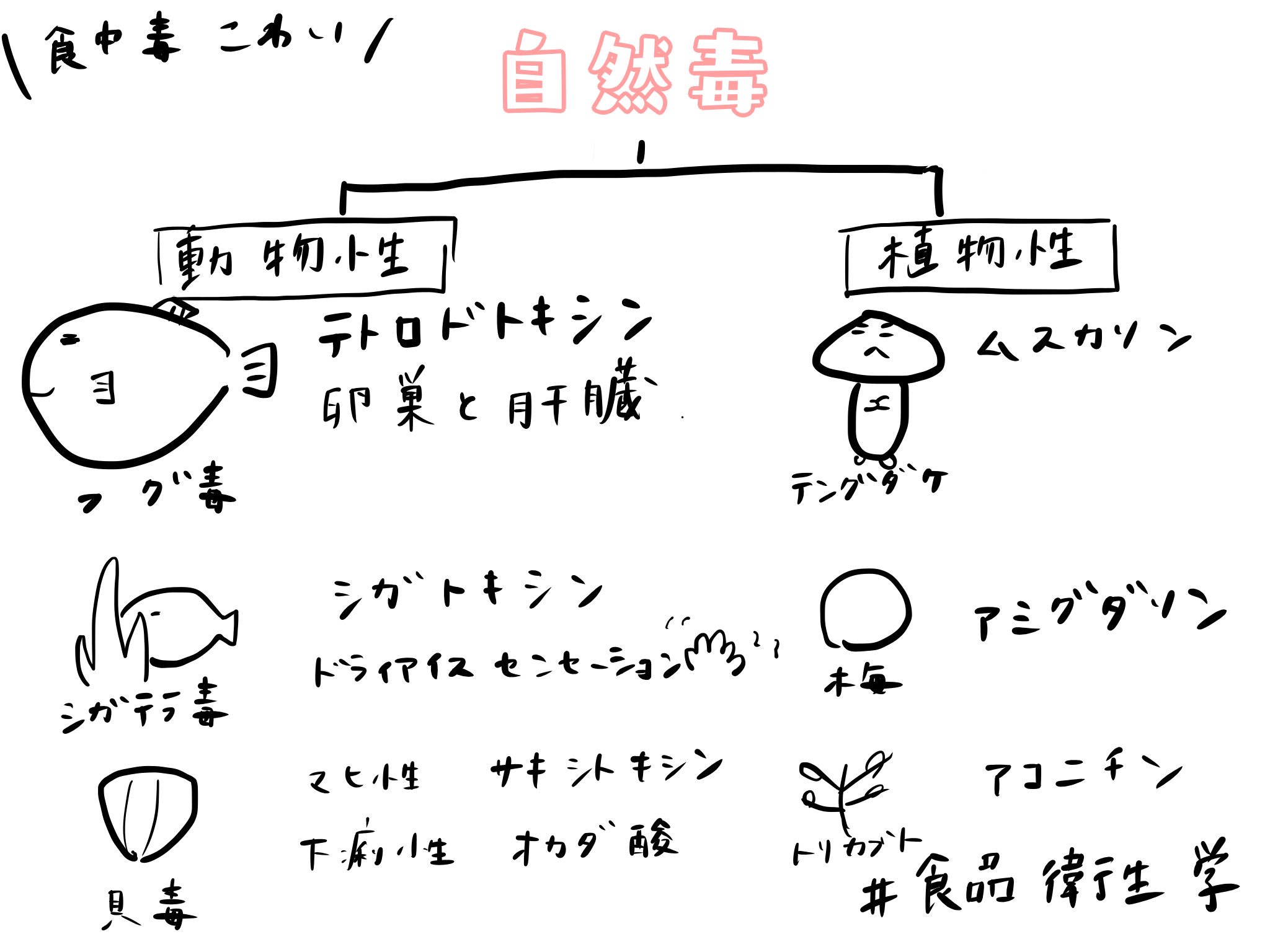 製菓衛生師試験 Twitter Search Twitter