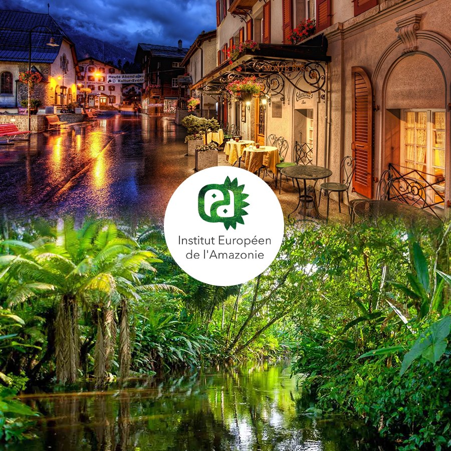ieamazonie's tweet photo. #Amazonie #faune #nature #flore #européen #biodiversité 
@ieamazonie https://t.co/UYwq5CRUV5