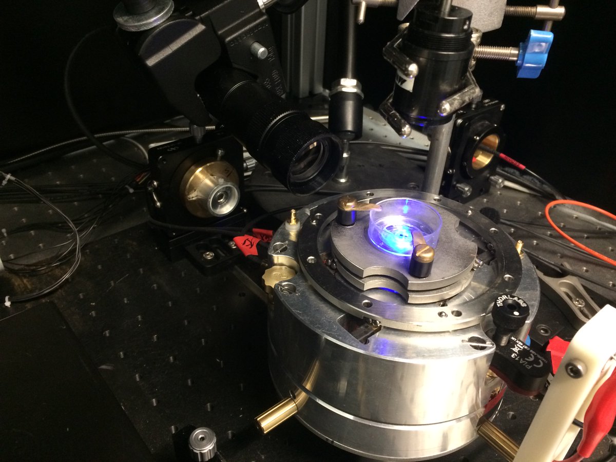 The latest instalment of 'The Science Behind the Technology' is online now. This month we spoke to Charlotte of @VitamicaAMR on their tech, which could speed up antibiotic screening in hospitals and assist in the fight against antimicrobial resistance. unitdx.com/the-science-be…