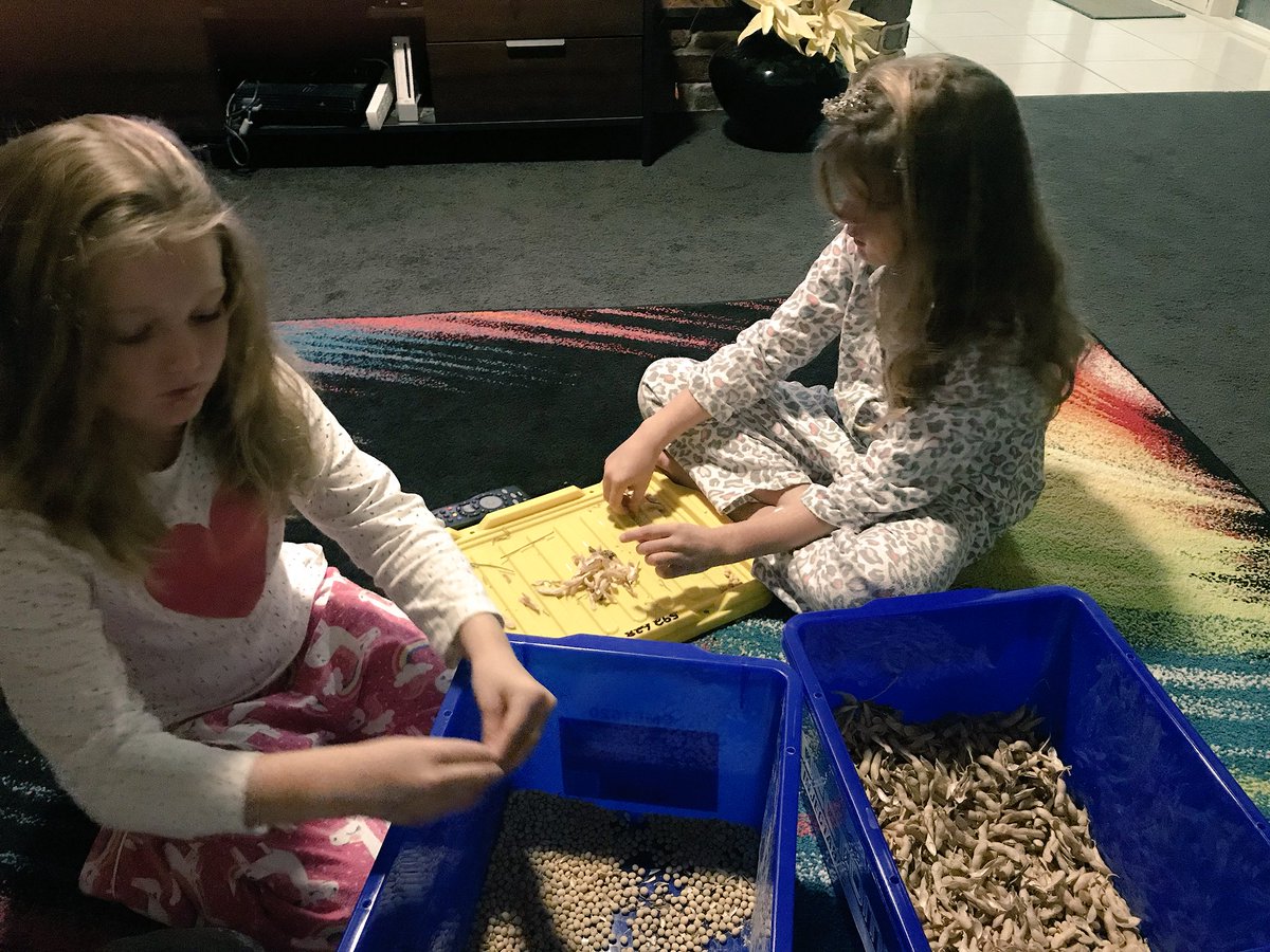 BrendoMagee's tweet image. Family Fun Time! When Dad’s an Agro and he’s doing soybean yield calculations. #EldersAgvice #pinkpjs #quiettime #familytime #futureagos